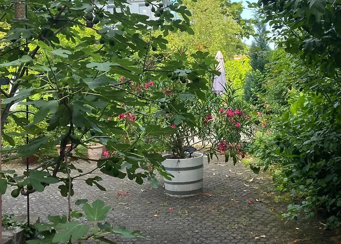 Familienhotels Zur Erholung